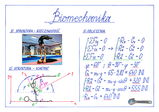 Biomechanika